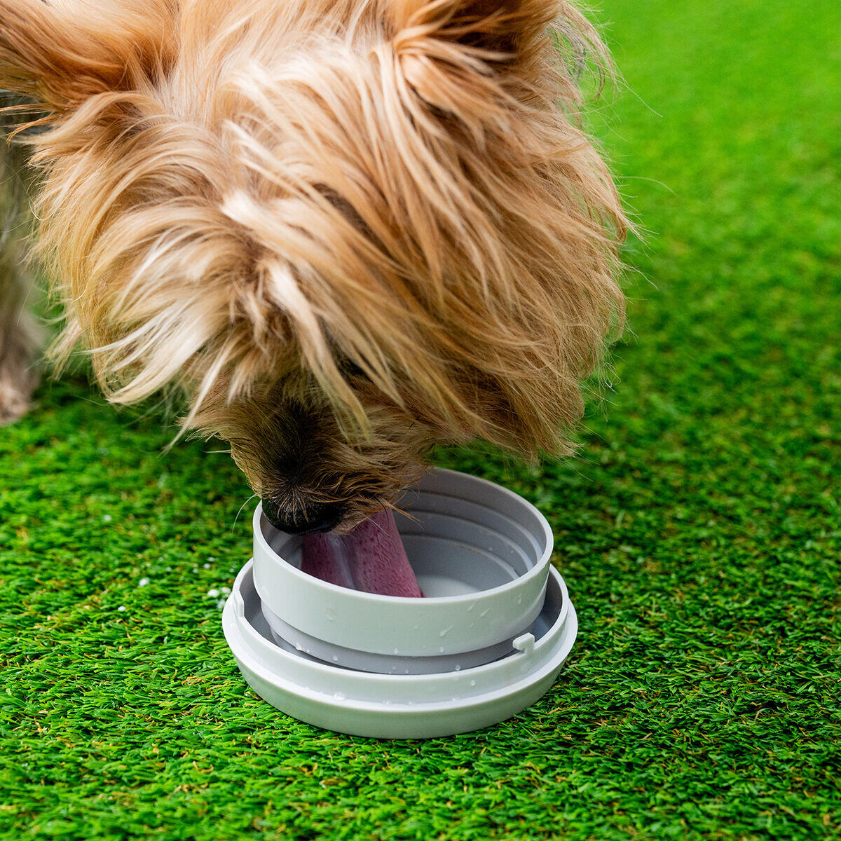 FurvoLeash™ by InnovaGoods | Correa Inteligente 6 en 1